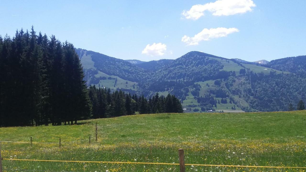 Ferienwohnung Alpenfreude Миссен-Вильхамс Экстерьер фото