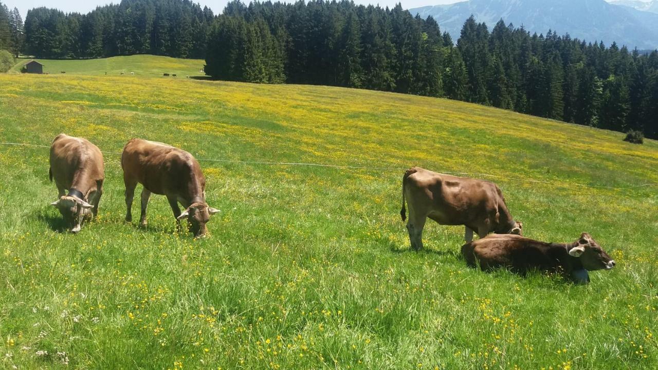 Ferienwohnung Alpenfreude Миссен-Вильхамс Экстерьер фото